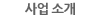 사업 소개